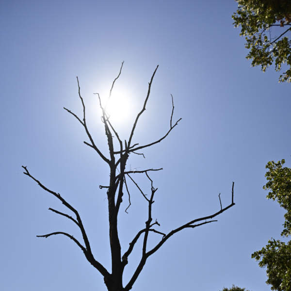 2025 war drittwärmstes Jahr