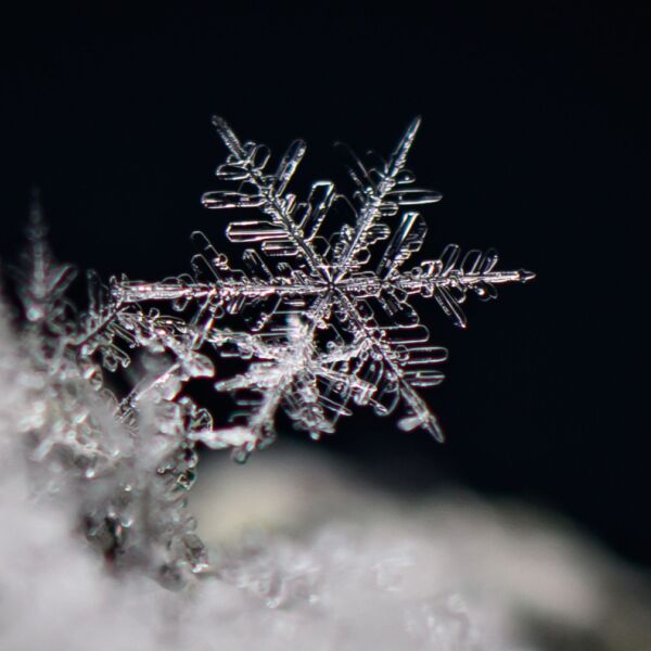 Eisige Kälte nicht nur in Österreich