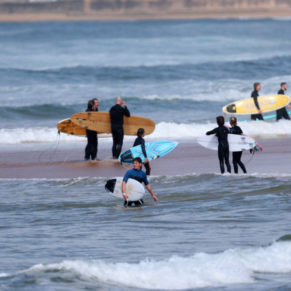 Mehrere Hai-Angriffe in Sydney in nur wenigen Tagen