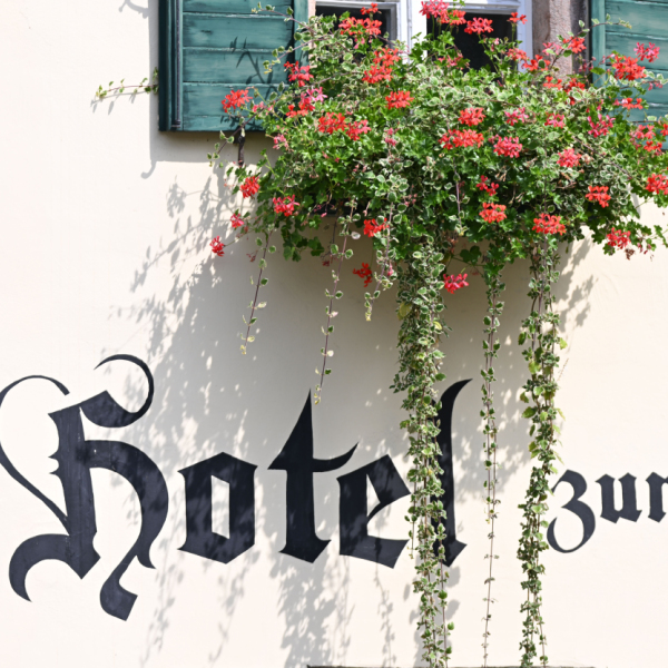 Urlaub in Österreich war im Sommer beliebt