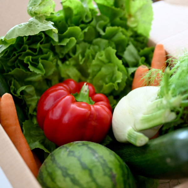 Österreicher essen zu wenig Ballast-Stoffe