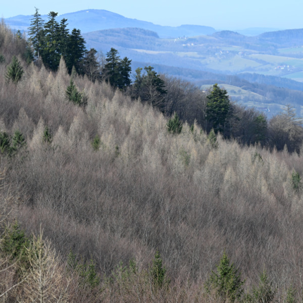 Der April war heuer extrem trocken