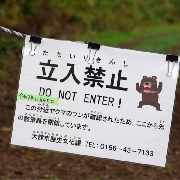 Pensionierte Polizisten und Soldaten sollen in Japan Bären jagen