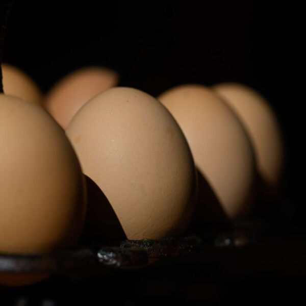 Mehrwertsteuer auf Grundnahrungsmittel sinkt