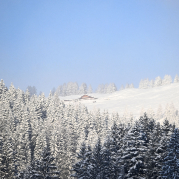 Minus 29 Grad in Oberösterreich - Tiefster Wert des Winters
