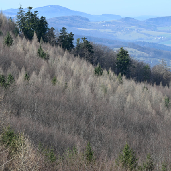 Der April war heuer sehr trocken und warm