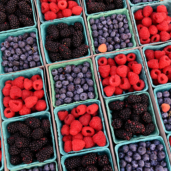 Nur Tiefkühl-Beeren aus Bio-Anbau ohne Pestizide